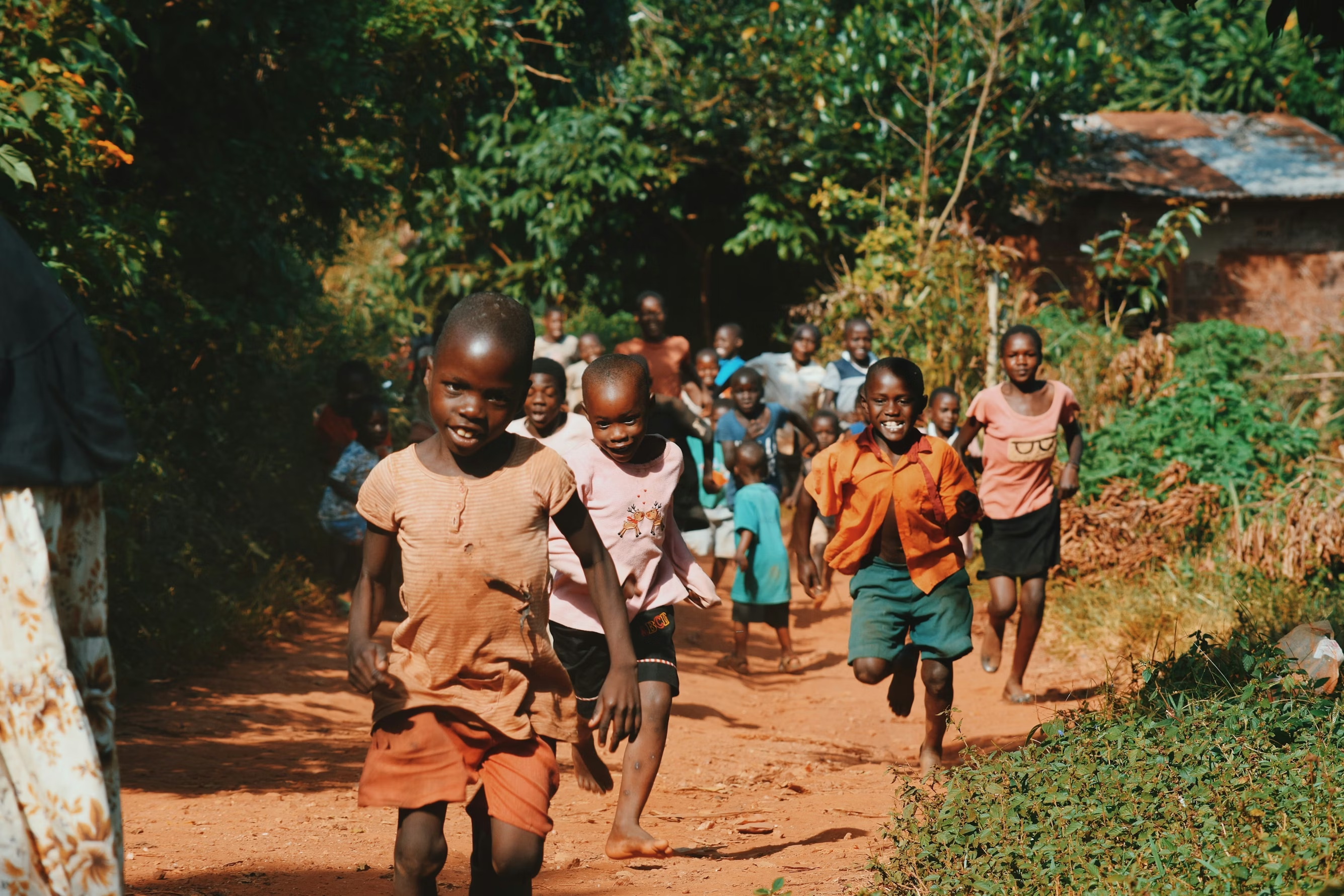 Frontier Bible Distribution